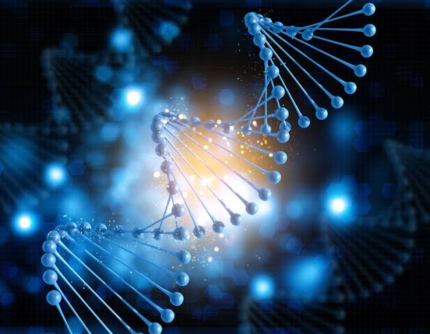 Do you know what is Aarskog syndrome