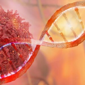 Healing DNA Damage Through DNA Repair in Nucleus (NDNA) with Focus DNA Repair in Disease to heal, treat, cure, solve Bloom’S Syndrome With Dr. Brandl's knowledge any disease can be treated at any stage of the disease.