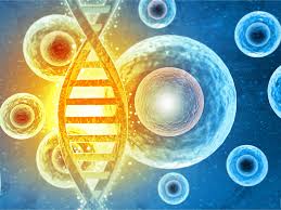 Healing DNA Damage Mutagenesis directed to oligonucleotide mitochondria with focus DNA repair in disease to heal, treat, cure, solve Wolf-Hirschhorn Syndrome With Dr. Brandl's knowledge any disease can be treated at any stage of the disease.