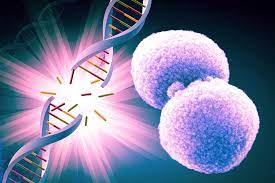 Healing DNA Damage Through DNA Repair in Mitochondria With Focus Damage to Simple Ribbon to heal, treat, cure, solve Wilson Disease With Dr. Brandl's knowledge any disease can be treated at any stage of the disease.
