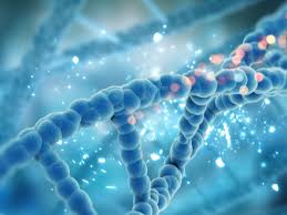 Healing DNA Damage Genican Correction Mitochondria with Focus Breaks in Double Ribbons to heal, treat, cure, solve Prion Disease With Dr. Brandl's knowledge any disease can be treated at any stage of the disease.