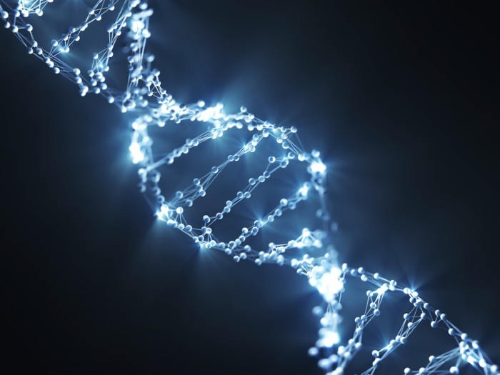 Genetics, DNA, and Heredity