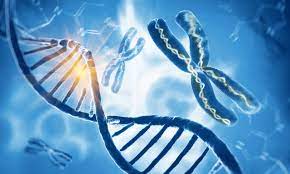 Healing DNA Damage Genican Correction Mitochondria With Focus Damage to Simple Ribbon to heal, treat, cure, solve Acute Myeloid Dendritic Cell Leukemia With Dr. Brandl's knowledge any disease can be treated at any stage of the disease.