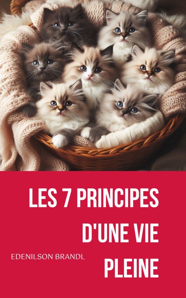 Les 7 Principes d'une vie Pleine